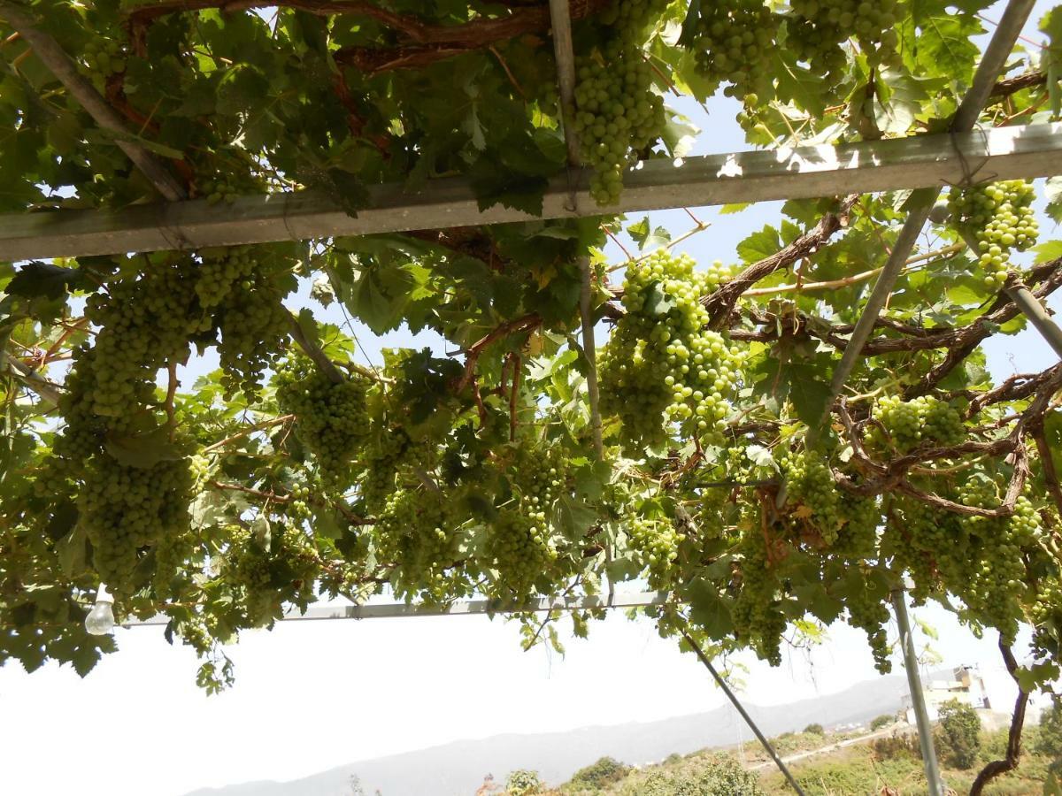Casitas Las Uvas Y Las Vinas Лос-Реалехос Экстерьер фото